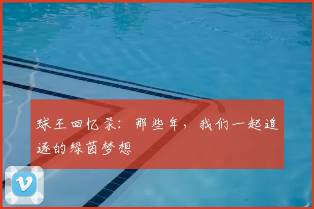 球王回忆录:那些年,我们一起追逐的绿茵梦想