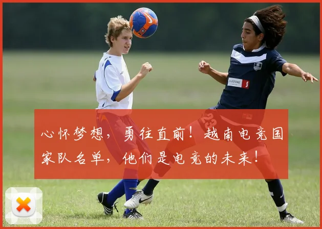 心怀梦想，勇往直前！越南电竞国家队名单，他们是电竞的未来！
